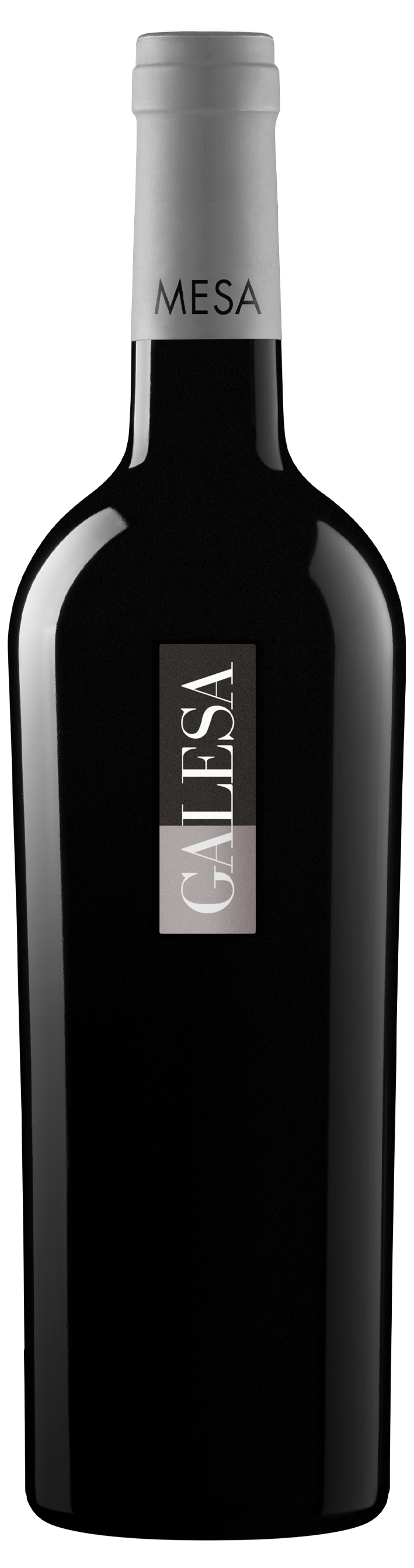Galesa